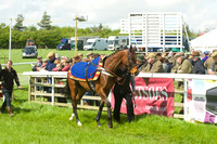 Race 2 - Open Maiden  16