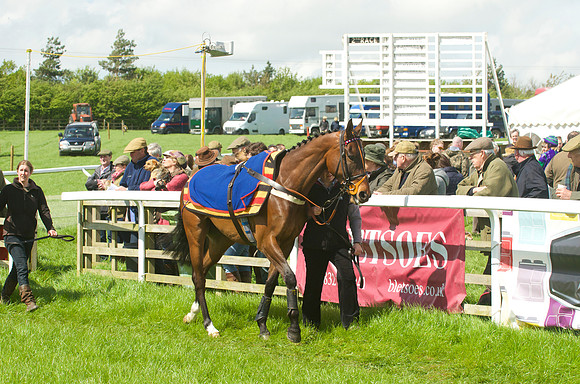 Race 2 - Open Maiden  16