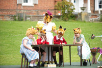Fantastic Mr Fox 45