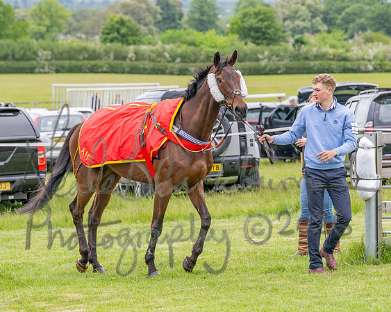Race 1 - The Highwayman Inn South Midlands Conditions Race (8 of 56)