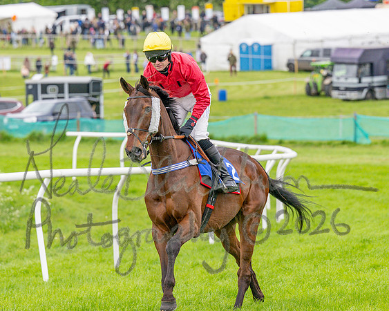 Race 1 - The Highwayman Inn South Midlands Conditions Race (17 of 56)