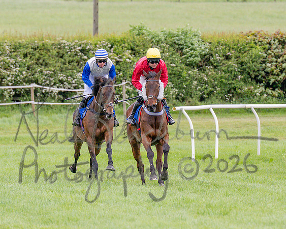 Race 1 - The Highwayman Inn South Midlands Conditions Race (22 of 56)