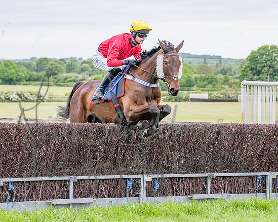 Race 1 - The Highwayman Inn South Midlands Conditions Race (23 of 56)
