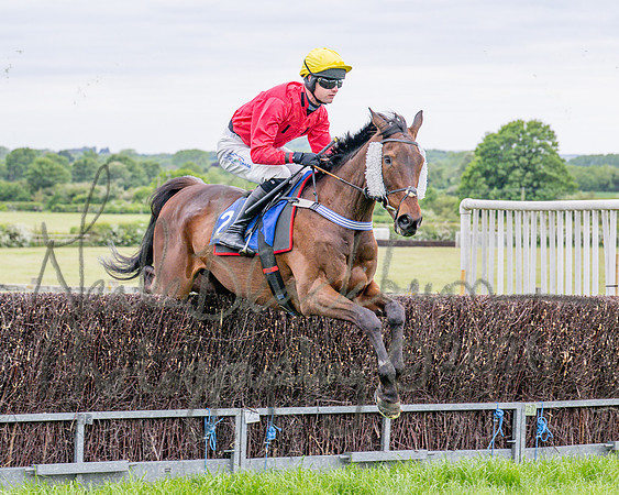 Race 1 - The Highwayman Inn South Midlands Conditions Race (24 of 56)