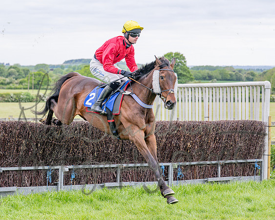 Race 1 - The Highwayman Inn South Midlands Conditions Race (25 of 56)