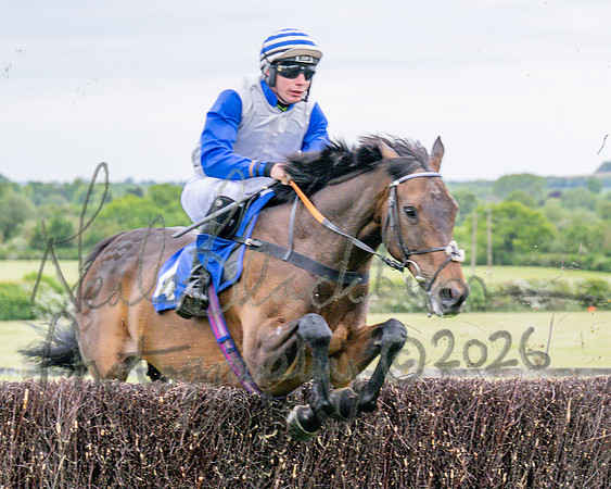 Race 1 - The Highwayman Inn South Midlands Conditions Race (26 of 56)