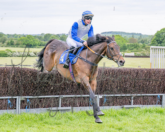 Race 1 - The Highwayman Inn South Midlands Conditions Race (28 of 56)