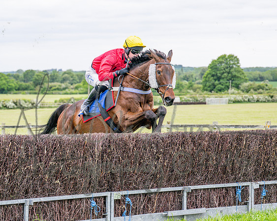 Race 1 - The Highwayman Inn South Midlands Conditions Race (29 of 56)
