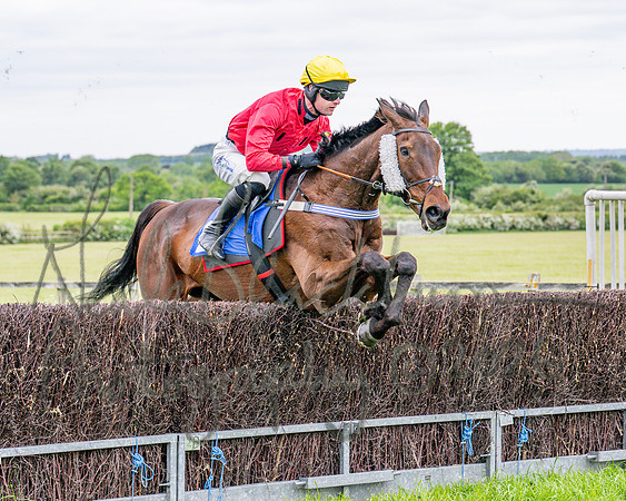 Race 1 - The Highwayman Inn South Midlands Conditions Race (30 of 56)