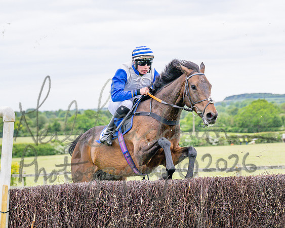 Race 1 - The Highwayman Inn South Midlands Conditions Race (33 of 56)