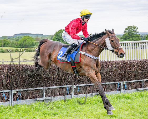Race 1 - The Highwayman Inn South Midlands Conditions Race (32 of 56)