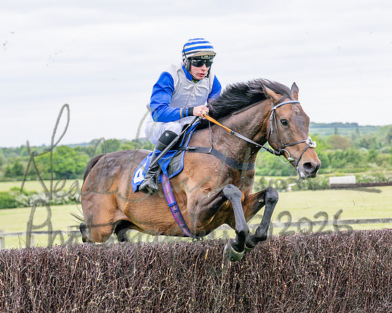 Race 1 - The Highwayman Inn South Midlands Conditions Race (34 of 56)