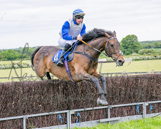 Race 1 - The Highwayman Inn South Midlands Conditions Race (35 of 56)