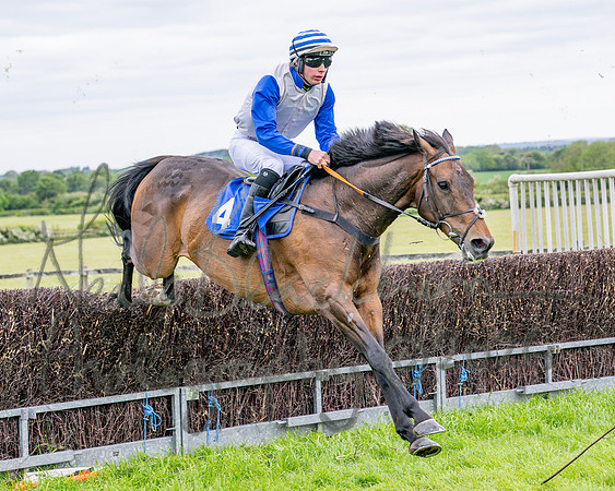 Race 1 - The Highwayman Inn South Midlands Conditions Race (36 of 56)
