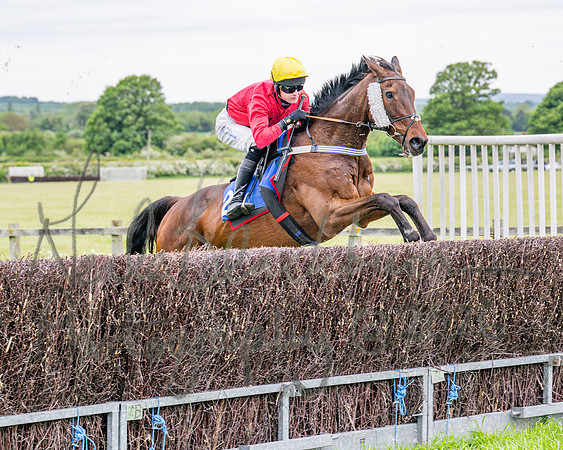 Race 1 - The Highwayman Inn South Midlands Conditions Race (37 of 56)