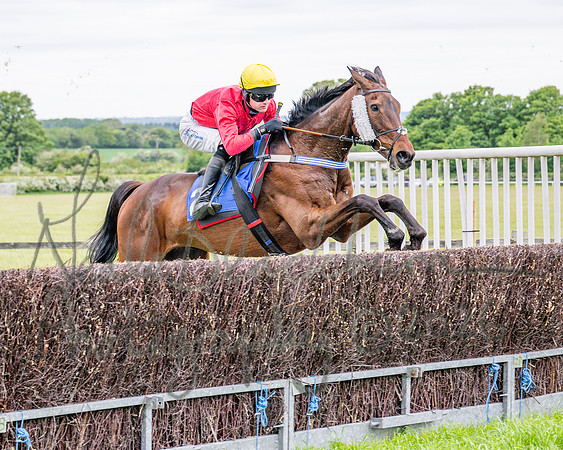 Race 1 - The Highwayman Inn South Midlands Conditions Race (38 of 56)