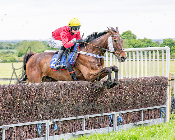 Race 1 - The Highwayman Inn South Midlands Conditions Race (39 of 56)