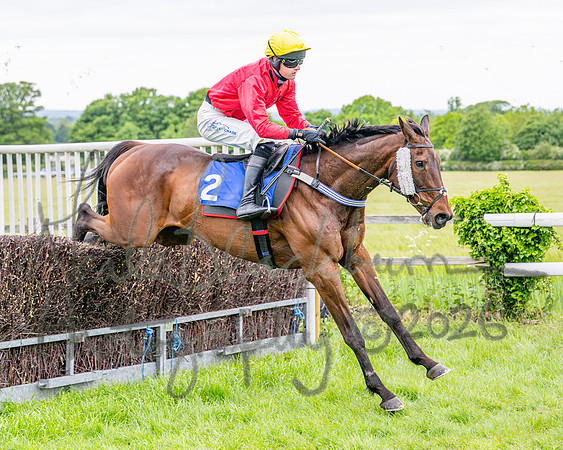Race 1 - The Highwayman Inn South Midlands Conditions Race (41 of 56)