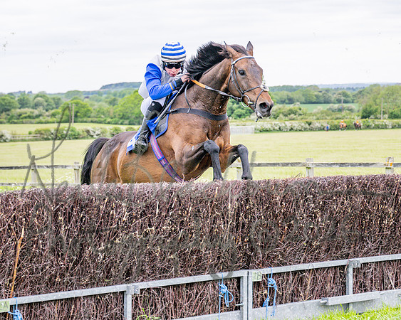 Race 1 - The Highwayman Inn South Midlands Conditions Race (43 of 56)