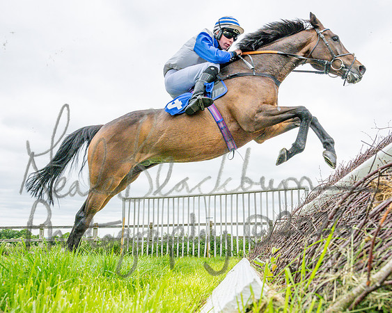 Race 1 - The Highwayman Inn South Midlands Conditions Race (42 of 56)