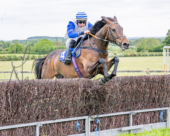 Race 1 - The Highwayman Inn South Midlands Conditions Race (44 of 56)