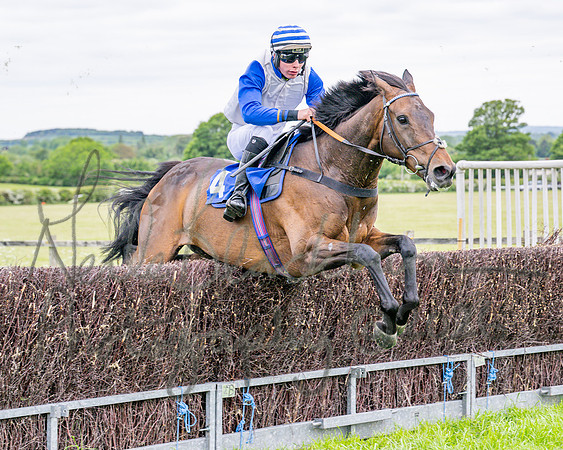 Race 1 - The Highwayman Inn South Midlands Conditions Race (45 of 56)