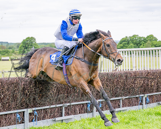 Race 1 - The Highwayman Inn South Midlands Conditions Race (46 of 56)