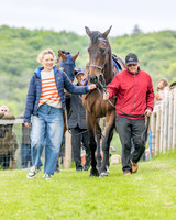 Race 2 - NFU Mutual Restricted Race (9 of 79)