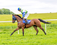 Race 2 - NFU Mutual Restricted Race (16 of 79)