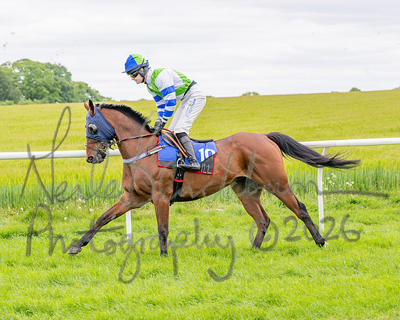 Race 2 - NFU Mutual Restricted Race (16 of 79)