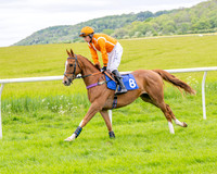 Race 2 - NFU Mutual Restricted Race (17 of 79)