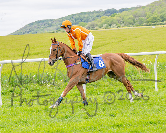 Race 2 - NFU Mutual Restricted Race (17 of 79)
