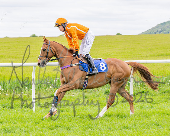 Race 2 - NFU Mutual Restricted Race (18 of 79)