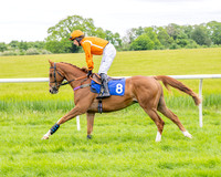 Race 2 - NFU Mutual Restricted Race (20 of 79)