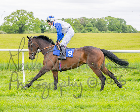 Race 2 - NFU Mutual Restricted Race (22 of 79)