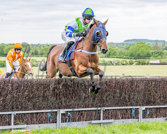 Race 2 - NFU Mutual Restricted Race (25 of 79)