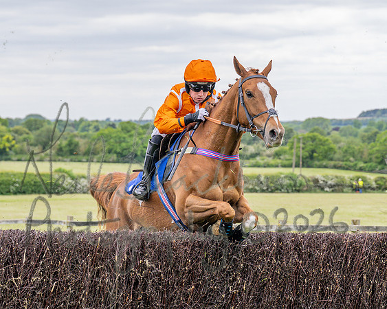 Race 2 - NFU Mutual Restricted Race (28 of 79)