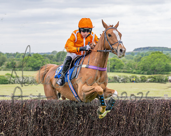 Race 2 - NFU Mutual Restricted Race (29 of 79)