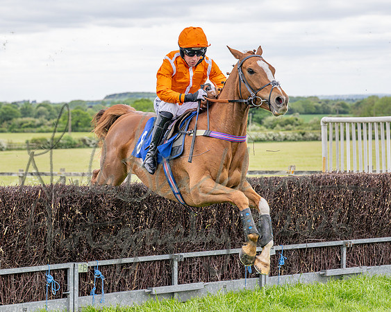 Race 2 - NFU Mutual Restricted Race (48 of 79)