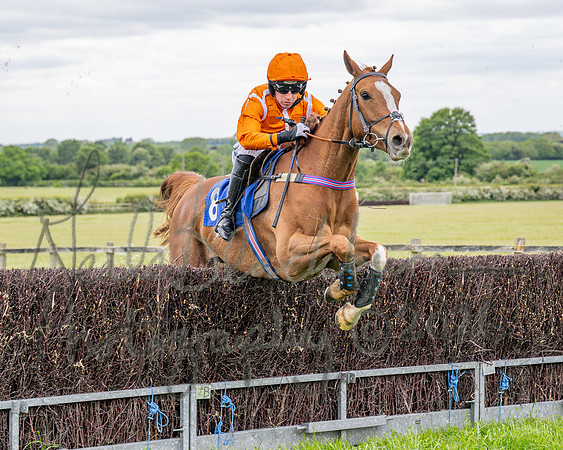 Race 2 - NFU Mutual Restricted Race (47 of 79)