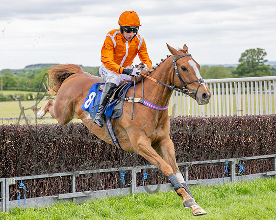 Race 2 - NFU Mutual Restricted Race (49 of 79)