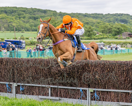 Race 2 - NFU Mutual Restricted Race (53 of 79)