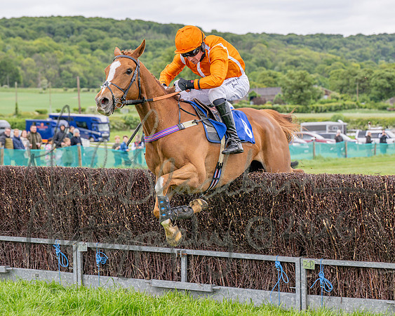 Race 2 - NFU Mutual Restricted Race (54 of 79)