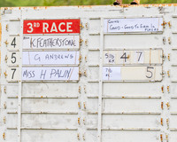 Race 3 - The College and County Ladie’s Open race (1 of 82)