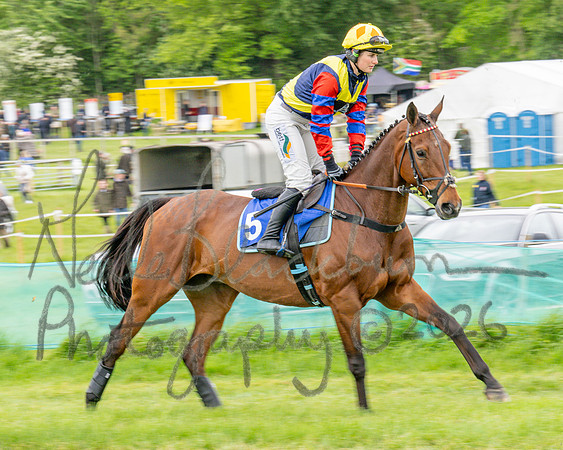 Race 3 - The College and County Ladie’s Open race (18 of 82)