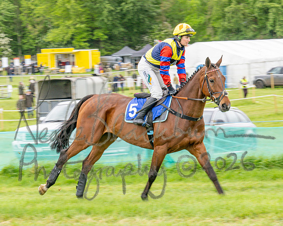Race 3 - The College and County Ladie’s Open race (19 of 82)