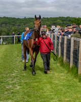 Race 5 - Open Maiden (4 of 114)