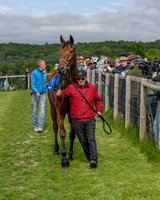 Race 5 - Open Maiden (5 of 114)