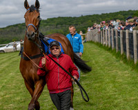 Race 5 - Open Maiden (7 of 114)