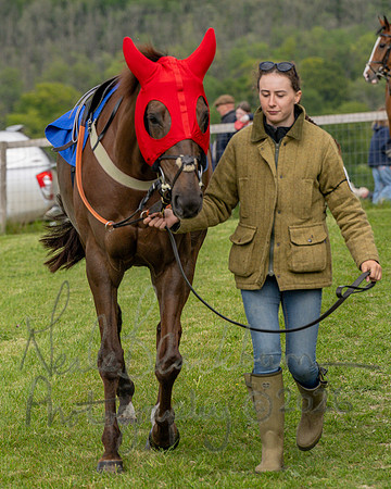 Race 5 - Open Maiden (9 of 114)